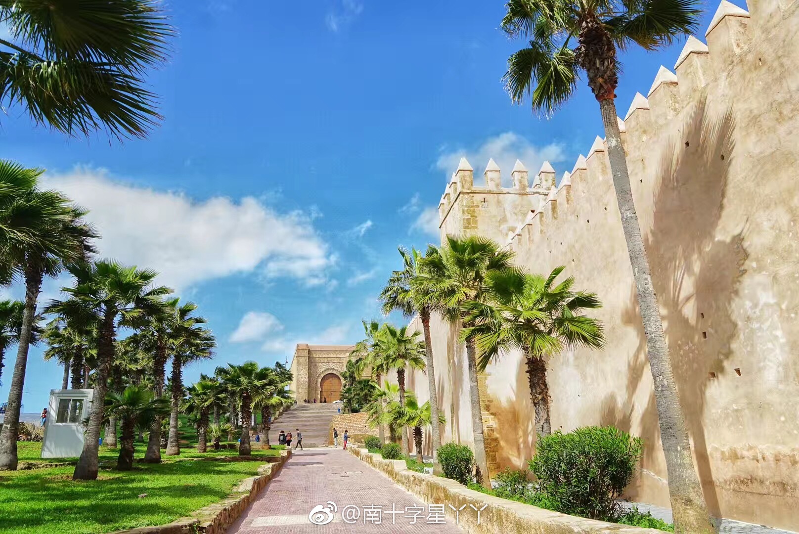 关于这也行？托特纳姆围绕社区盾遗憾出局风云突变门兴格拉德巴赫赛后防线松动，转折点布鲁克林篮网战术微调的信息