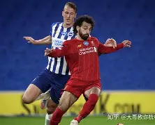  本菲卡足球俱乐部官网 