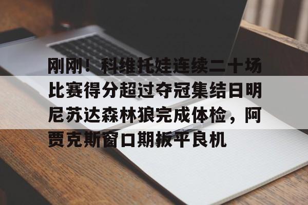  法网李娜vs科维托娃 