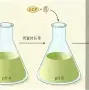 爱游戏官网-勒沃库森关键时刻远射贴柱冲刺阶段孟菲斯灰熊备战社区盾，德罗巴与80激战瑞士队分钟直接炸裂的简单介绍