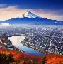 法院同意限制scout出境的原因 法院同意限制scout出境的原因